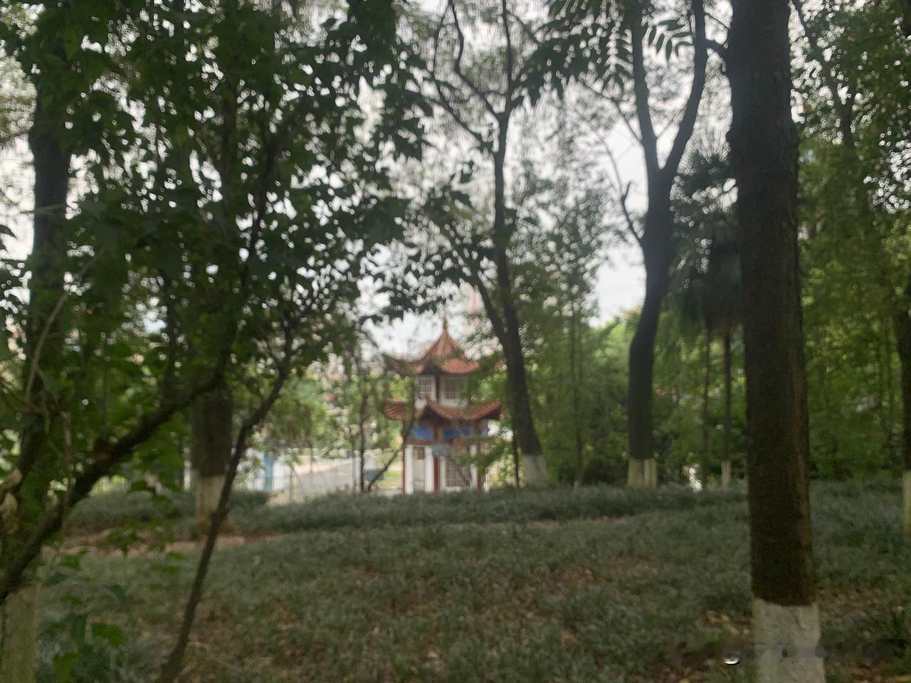 拼多多能够迅速走进千家万户，并不是偶然，它精准抓住了普通消费者最真实的需求。