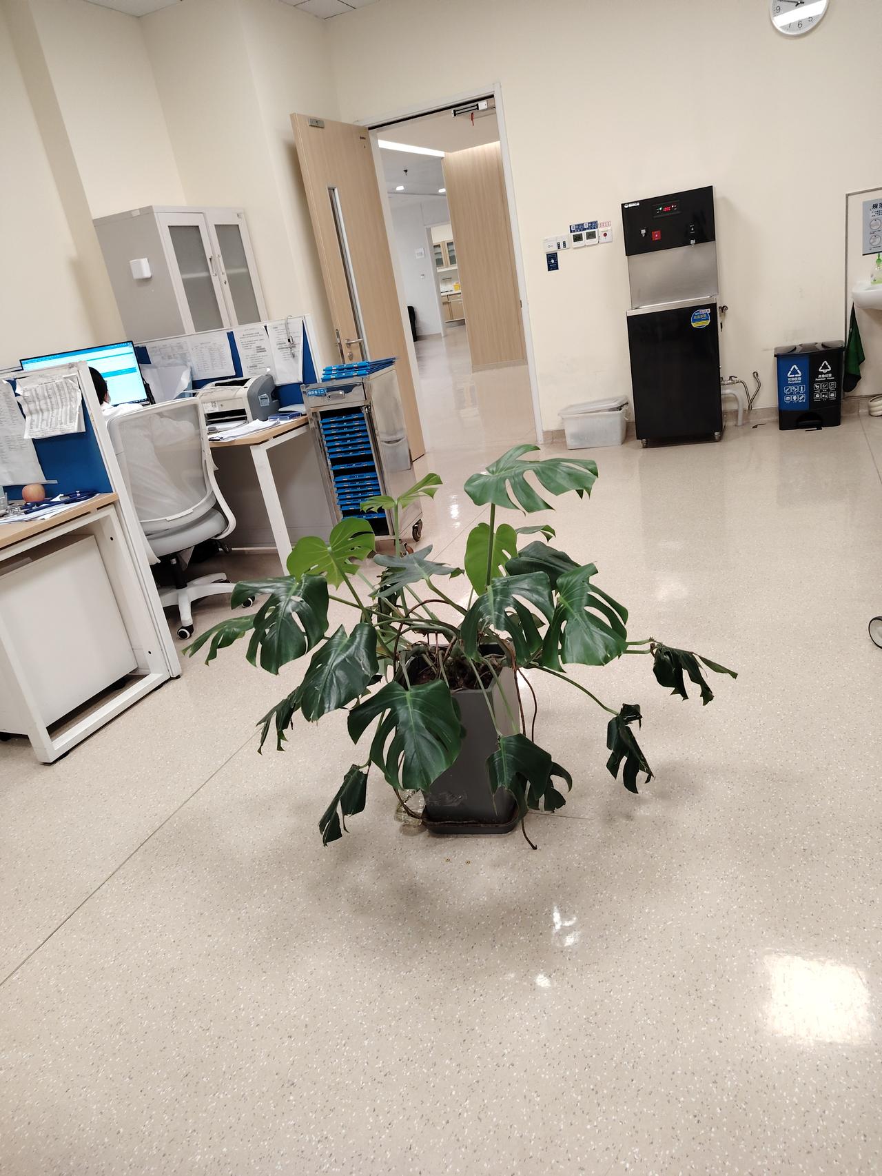 男人的通病，夫妻最扎心的生活方式说真的，有些男人的通病真的太好猜了：没老婆的