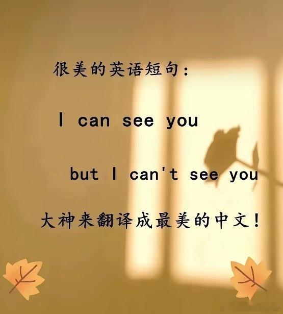 canseeyou,butIcan'tseeyou.