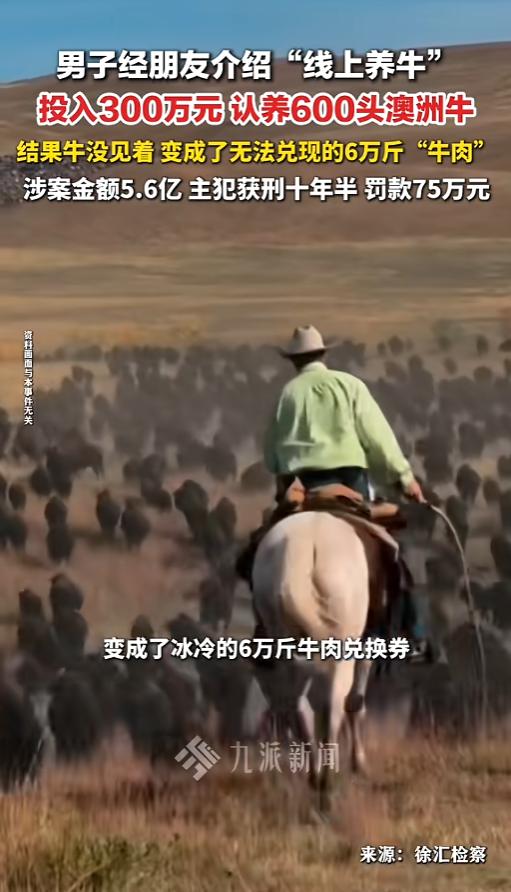 “万万没想到！”6月15日报道，上海，一男子在朋友介绍下，下载了个养牛APP，对