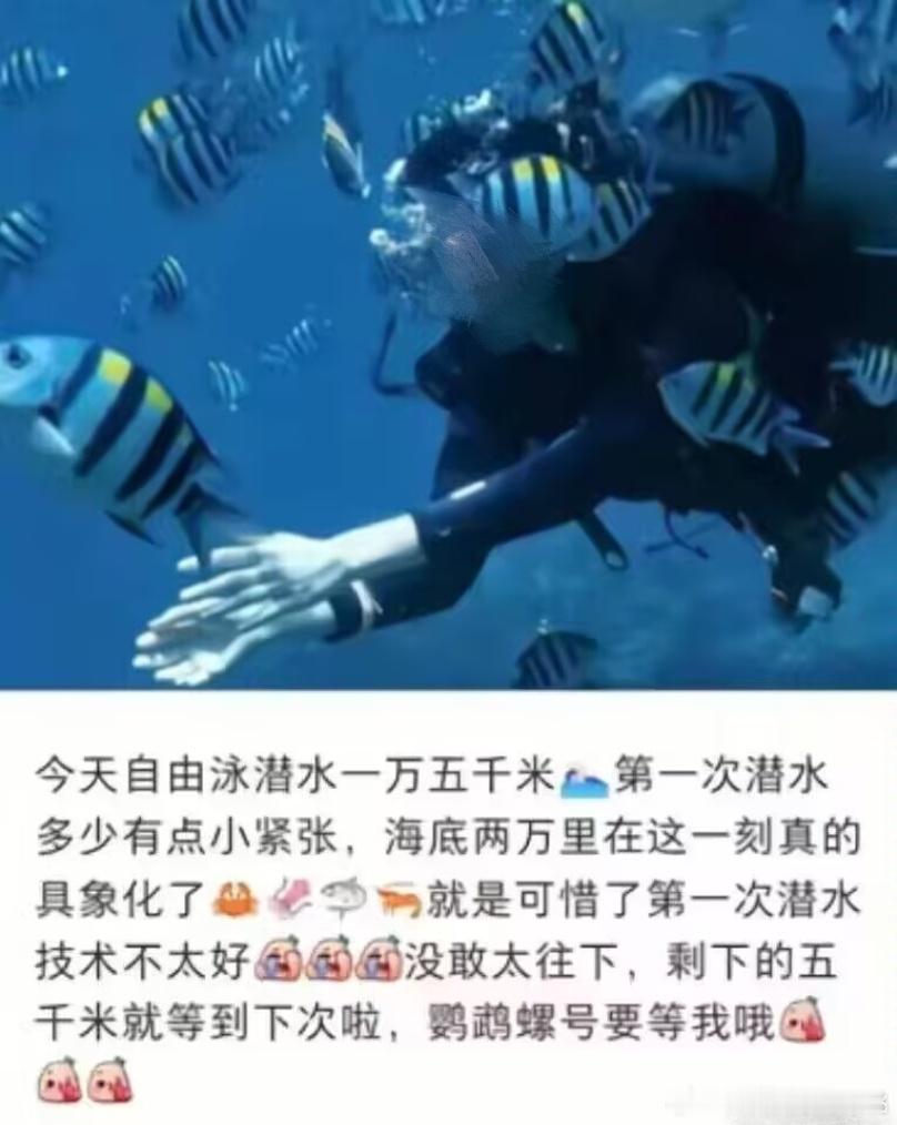 今年咱们国内互联网真可谓是藏龙卧虎人才辈出，这回海陆空三神皇终于集齐了！海底选手