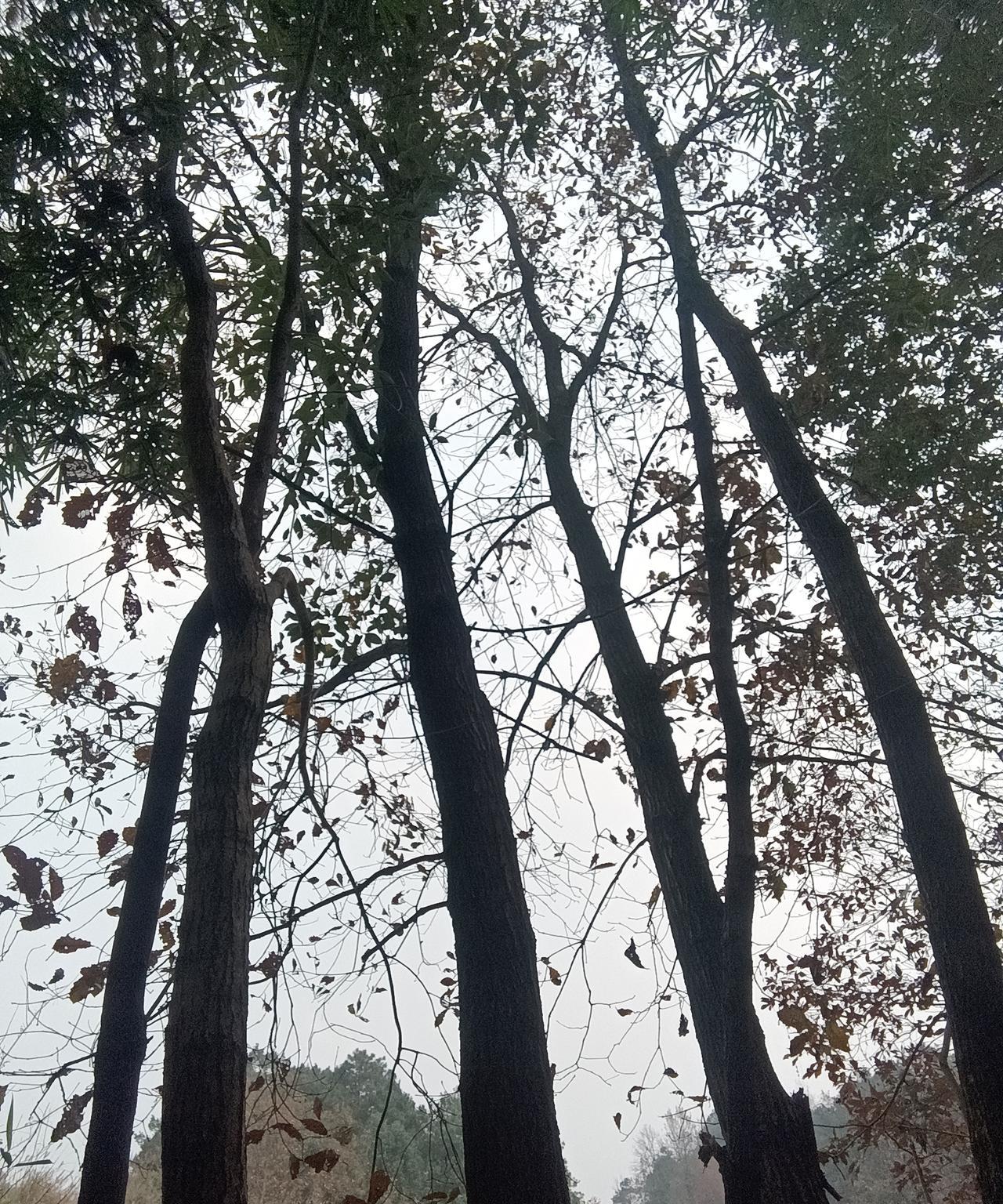 据我体验与观察，夫妻关系中，丈夫对妻子的呵护和包容，要远胜于妻子对丈夫的尊