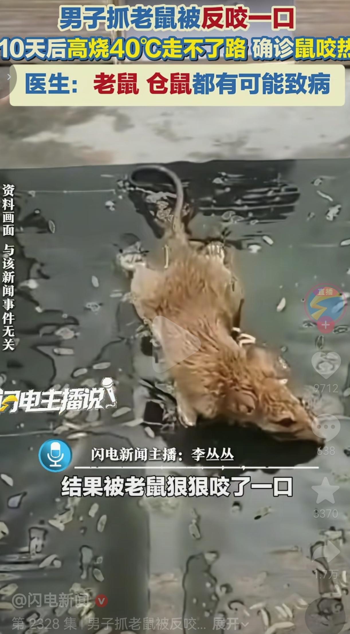 吓死人！广东深圳一保安抓老鼠，被反咬一口，觉得是小伤用酒精擦了擦就没管，结果10