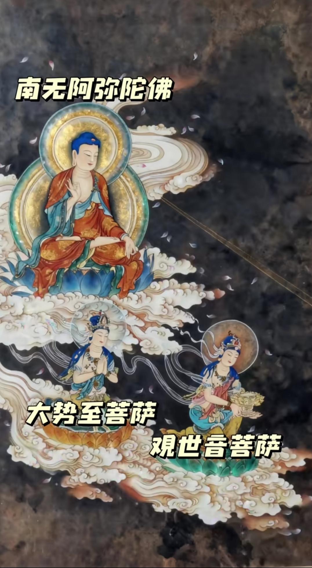 梦记·童真佛境莲友们，昨天晚上我做了一个特别温馨、特别殊胜的梦，想跟大家分享一