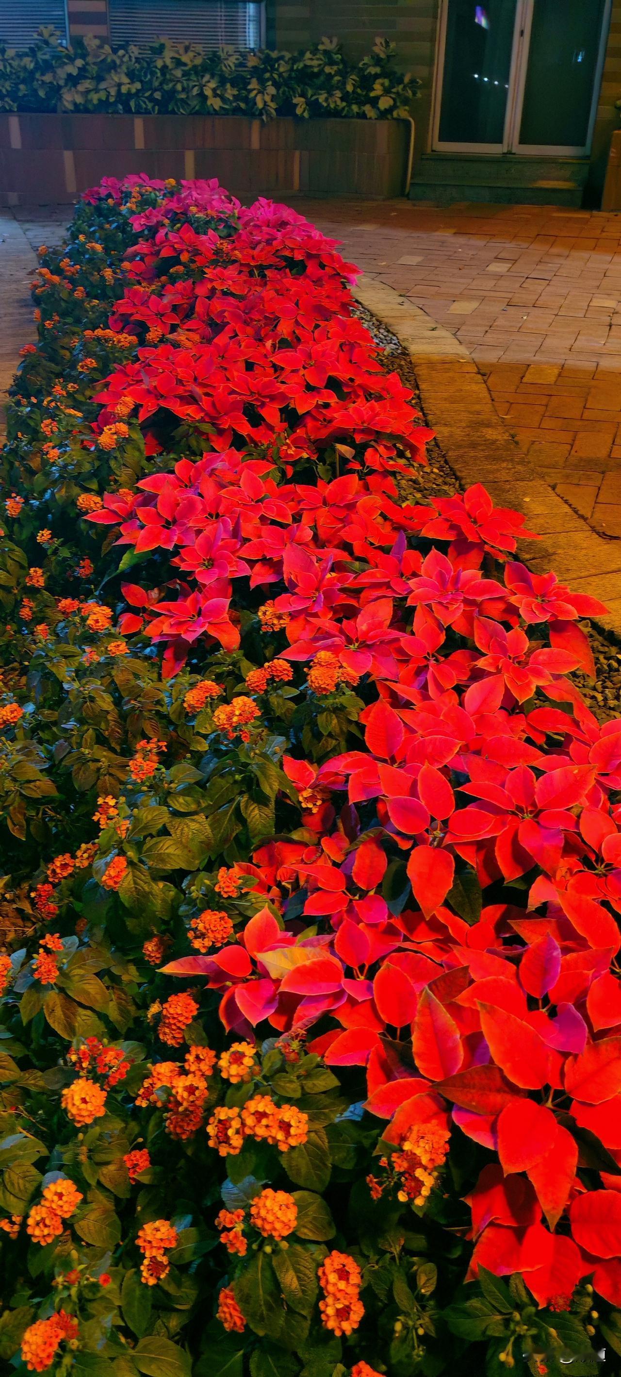 女子离婚十多年了，女儿16岁，谈了一个男朋友一年多了，谈时她就说过她不要彩礼，只