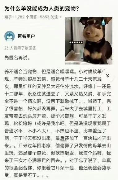 为什么羊没能成为人类的宠物？这个角度的回答太炸裂了……