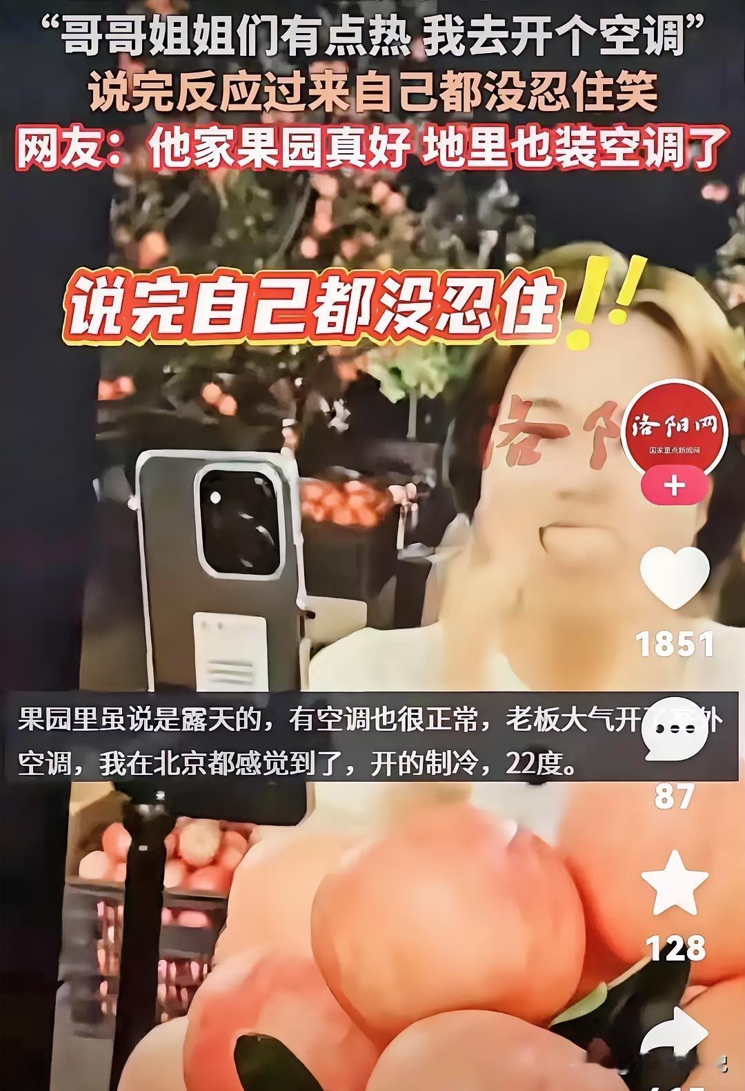 5月25日，一场果园里的直播翻车了，因为主播意外露馅。女主播站在果树背