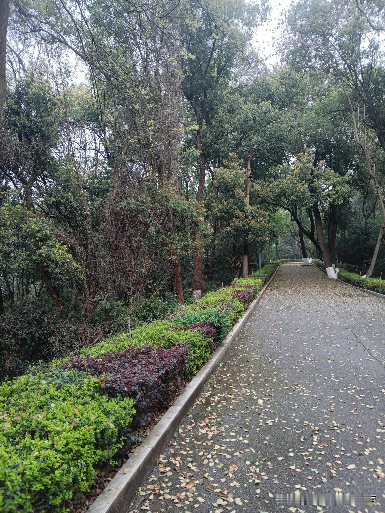 炒股不赚钱是很多人被一些观点误导了！一、买了被套亏损就不卖。不懂得止盈止损，