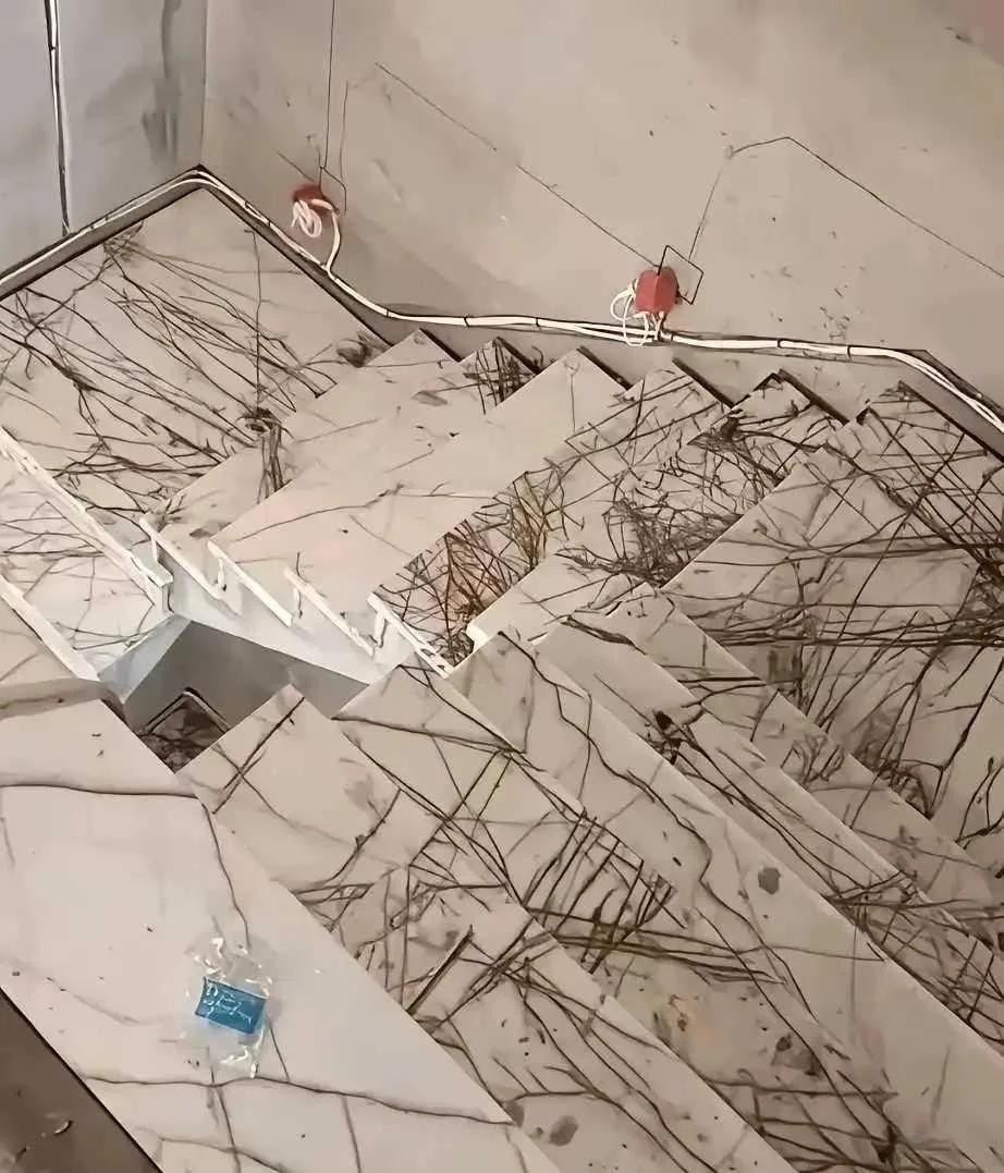 这个地板是有老婆的人选的？我真是无语了