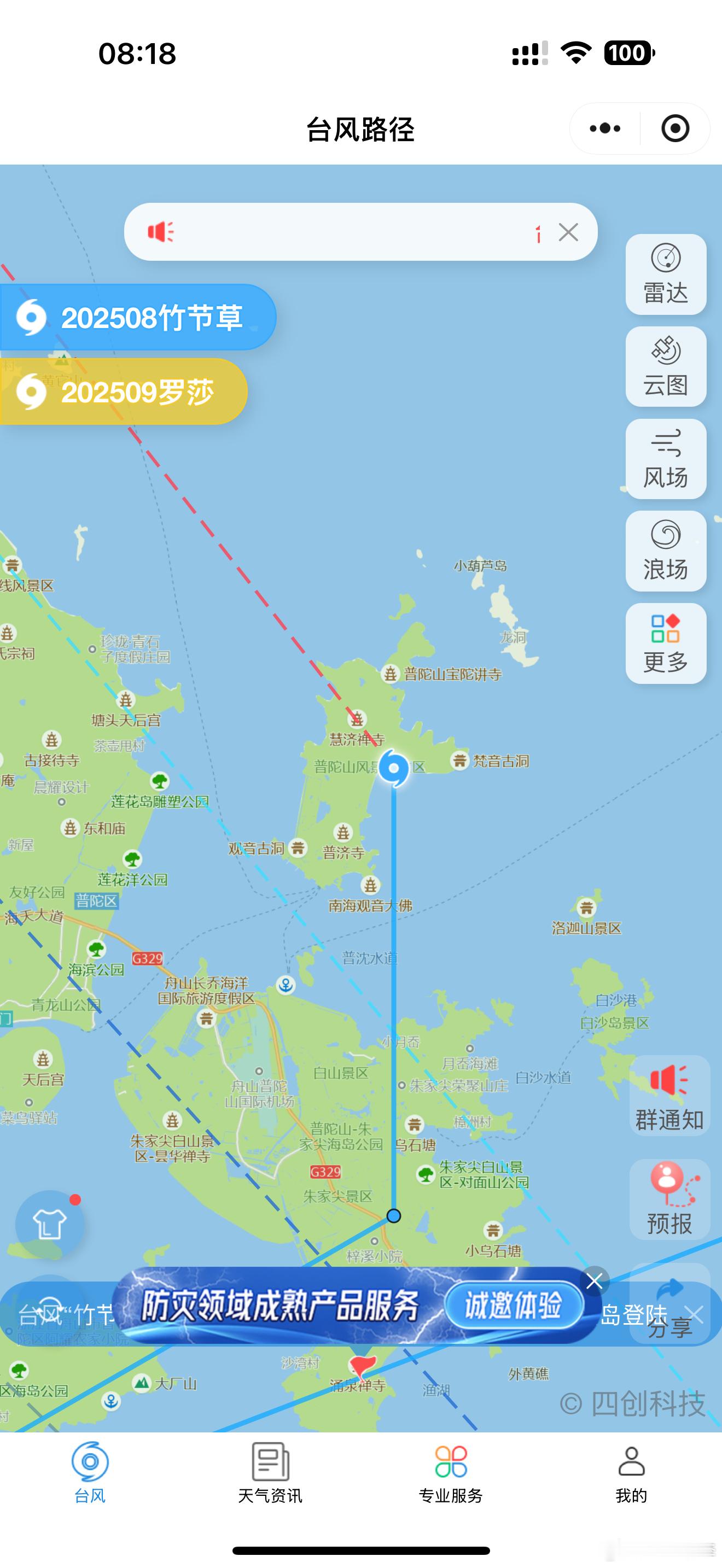 竹节草终究还是上了普陀山舟山结界不好使了剩下的就看上海我不想一天改签两趟航班[黑