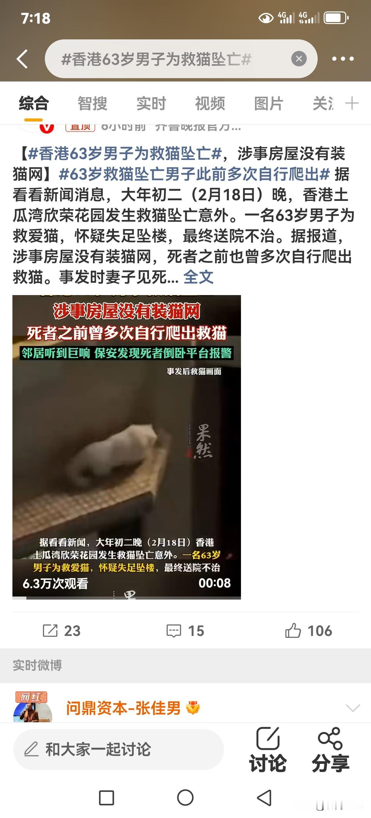 流浪猫都不会想到会闯出这么大祸！