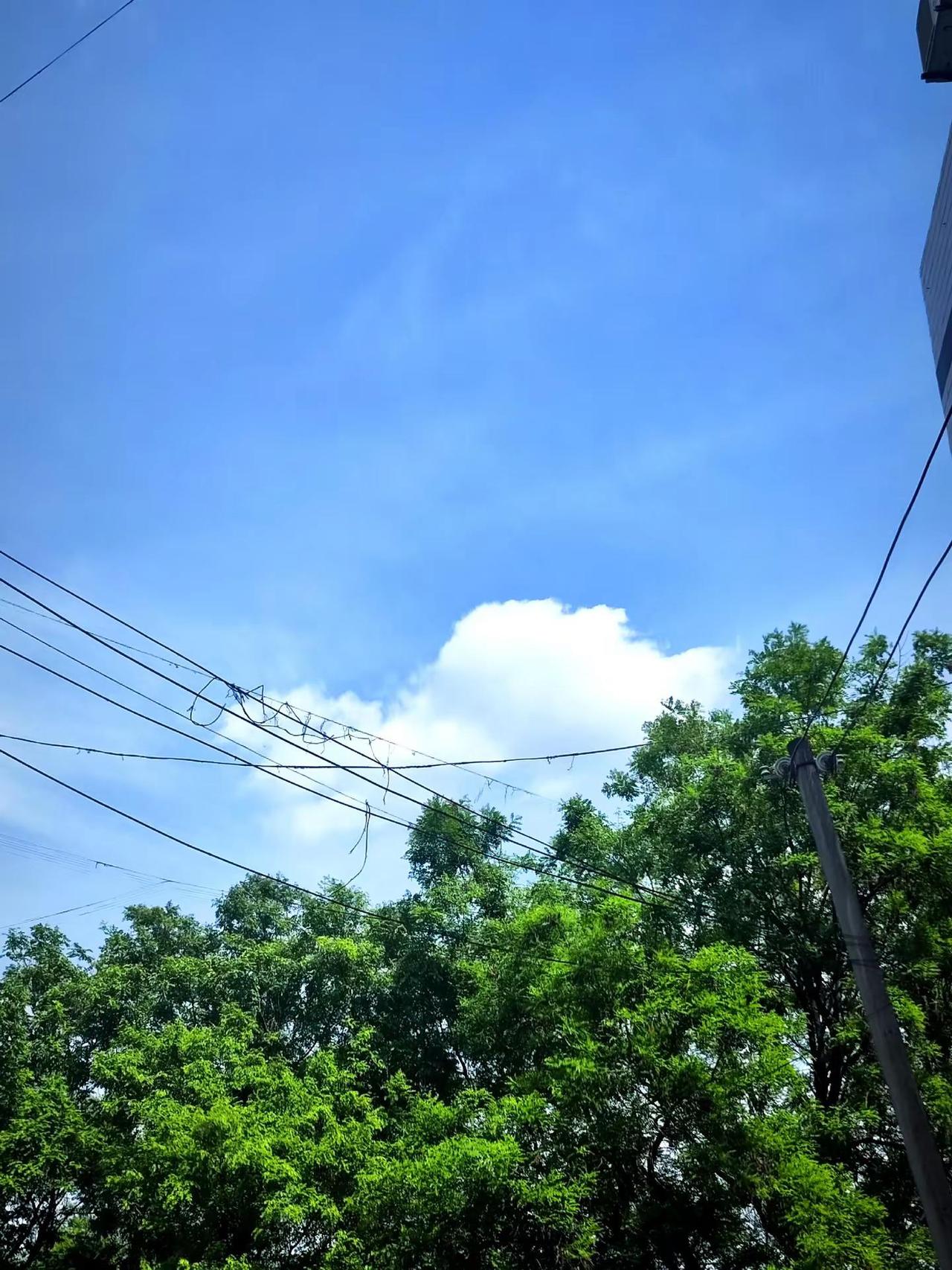 西安又热起来了，雨过天晴之后样子。风很轻树很绿乡村夏日风景夏季乡村美景在村