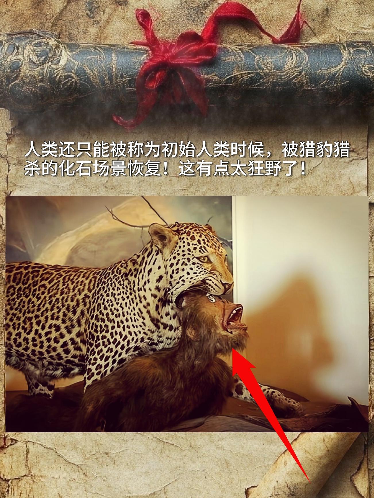 人类还只能被称为初始人类时候，被猎豹猎杀的化石场景恢复！这有点太狂野了。