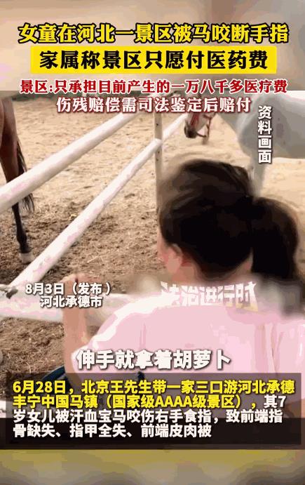 “悲剧还是发生了！”6月28日，河北承德，一7岁小女孩在景区投喂汗血宝马，不料，
