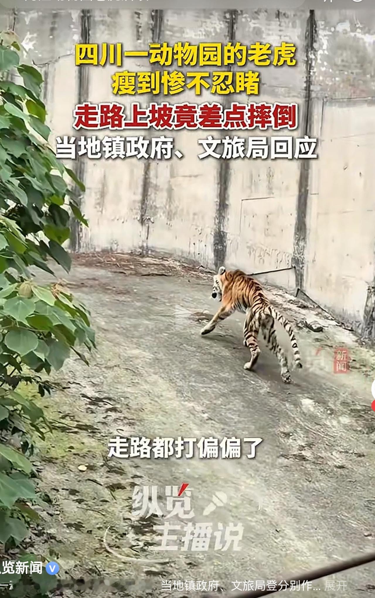想起一个词，叫为虎作伥，感觉这不是虎，是伥。