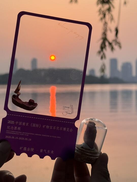 玄武湖是南京的瓦尔登湖！