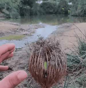 人家过冬保暖，你叫人家起来跑操。[捂脸哭]