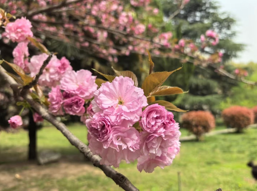 昨天晚上，我们和女儿未来的公公婆婆第一次见面，饭桌上我对他们提了几个要求，大家帮