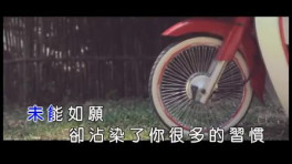 MP4_AVI格式_MTV_歌曲免费下载