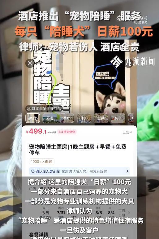“太有生意头脑了！”近日，湖北武汉，一酒店推出“宠物陪睡服务”，“陪睡犬”的日薪