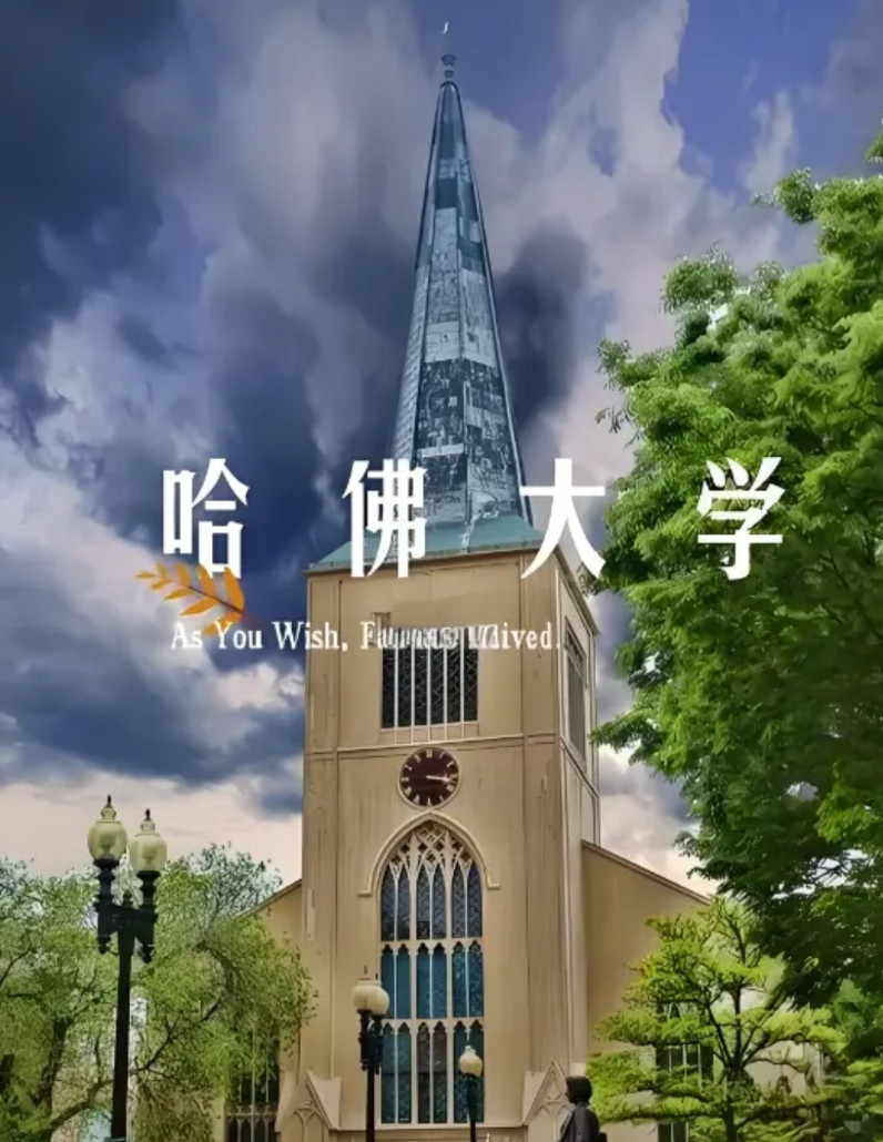 我一朋友的孩子就在哈佛大学上学，这几天她愁死了。美国政府突然禁止让哈佛大学招收国