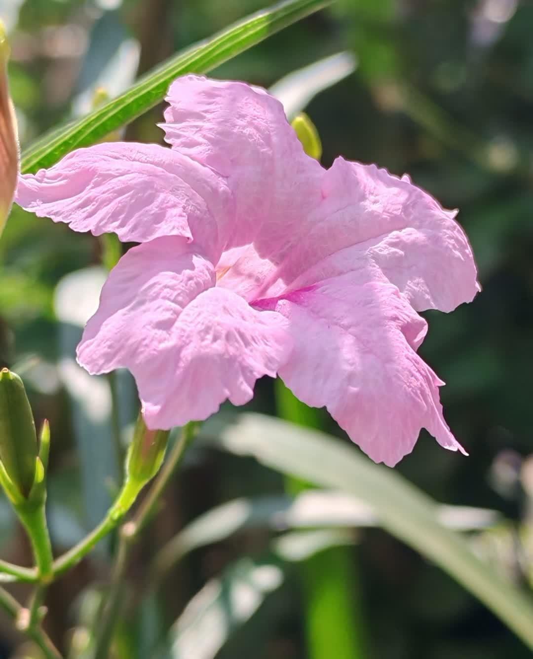 一位退休的企业高管说：普通人没钱很苦；老了还没钱更苦。年轻时的穷是暂时的挣扎