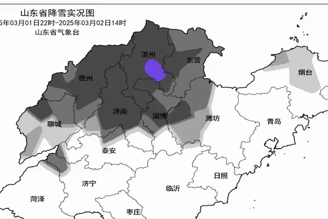 山东极端雨雪天气: 破纪录的降水与复杂天气演变