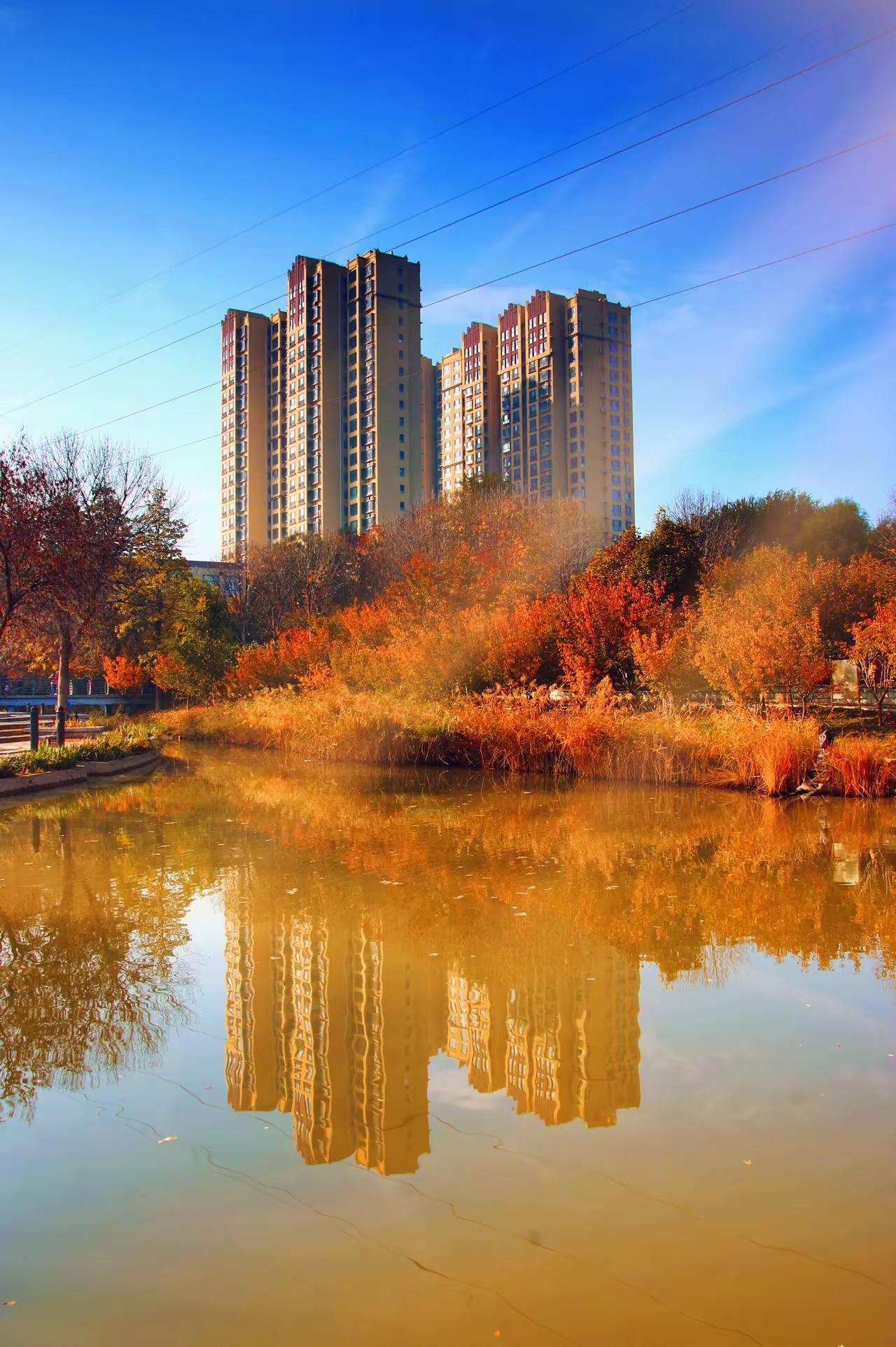 忽然想通一件事，这世间，从没有什么能困住我。小时候，师长总说我太过执拗，总