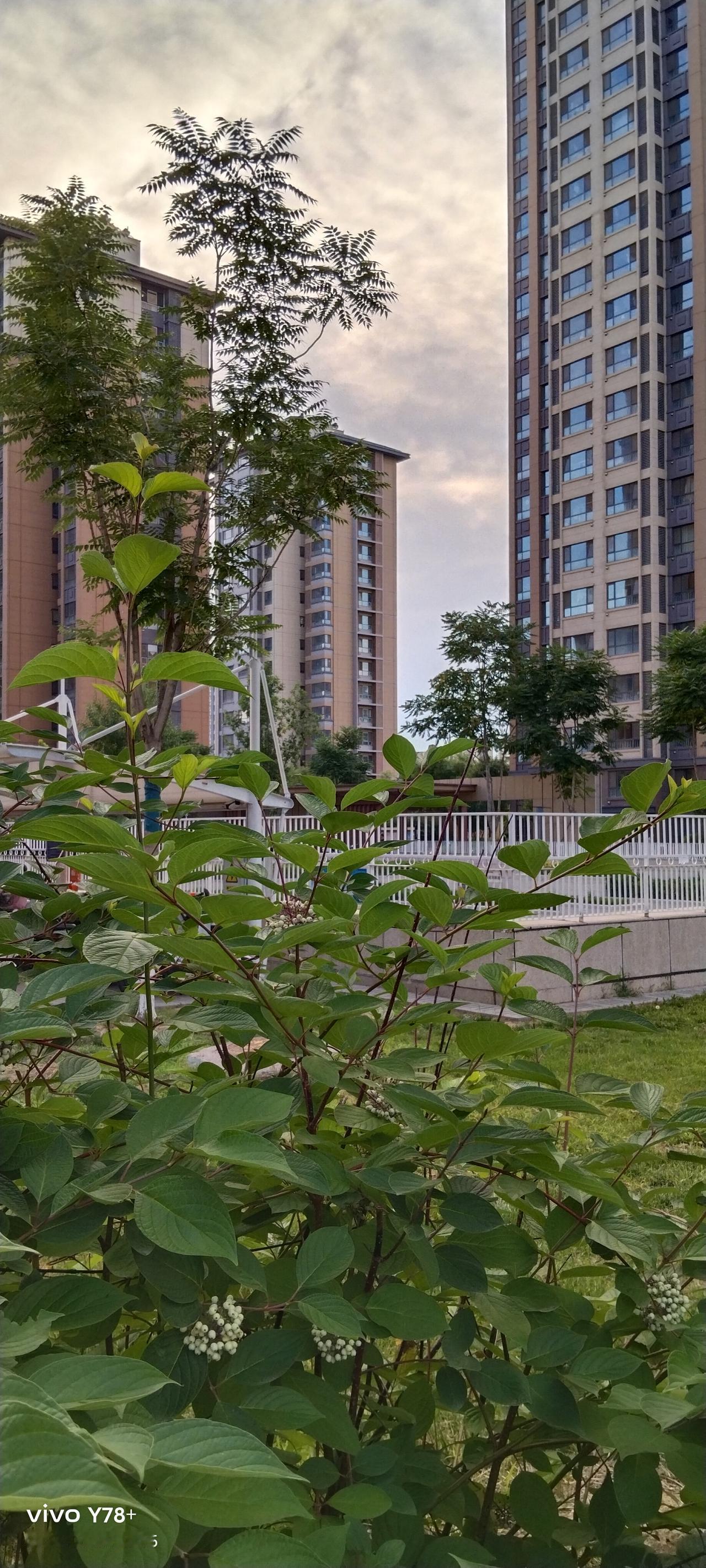 现在网上仍然有替农民讨要养老金的。老农民的所谓养老金，其实是养老补贴，不能称之