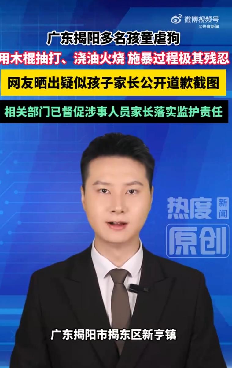 视频里火光窜起，狗叫撕心裂肺，几个小孩挥着棍子笑个不停，这不是闹着玩，是直接捅破