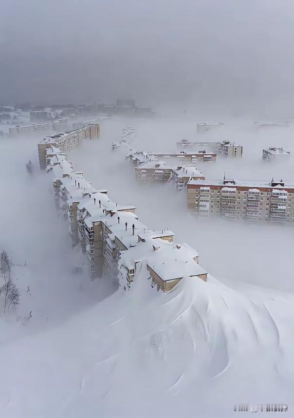 人民日报、食安办为预制菜发声是好事。西贝贾老板实力也很强，在预制菜领域技术和经验