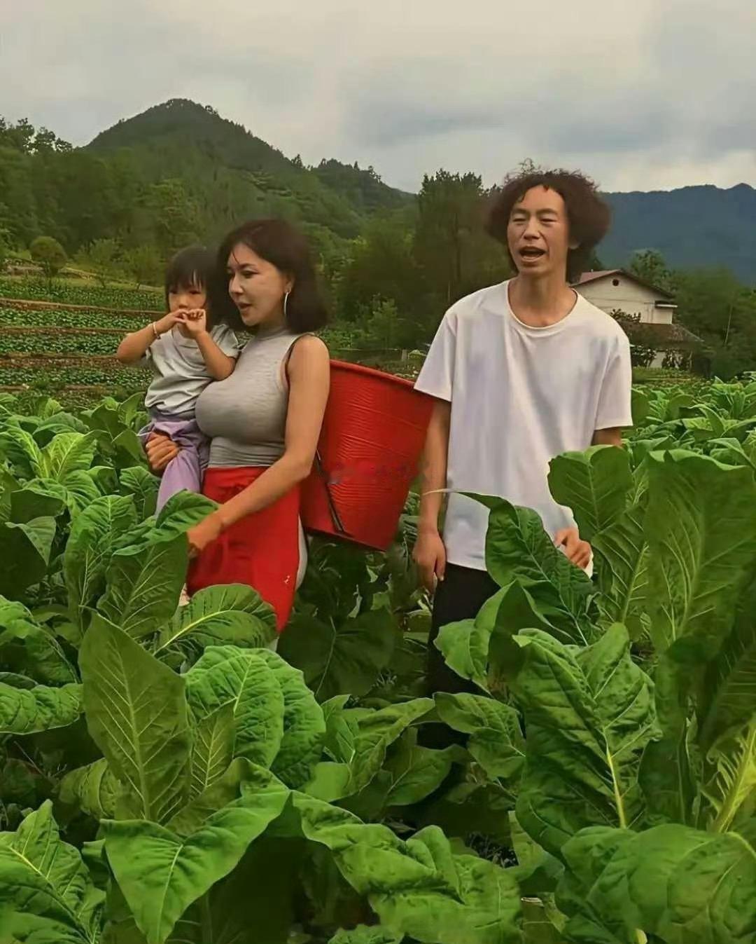 庞麦郎真是人生赢家，仅一年功夫，什么都有了！