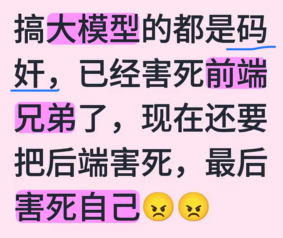 什么？又一个新词：码奸？网上看到的一个帖子，有人把AI大模型开发人员称之