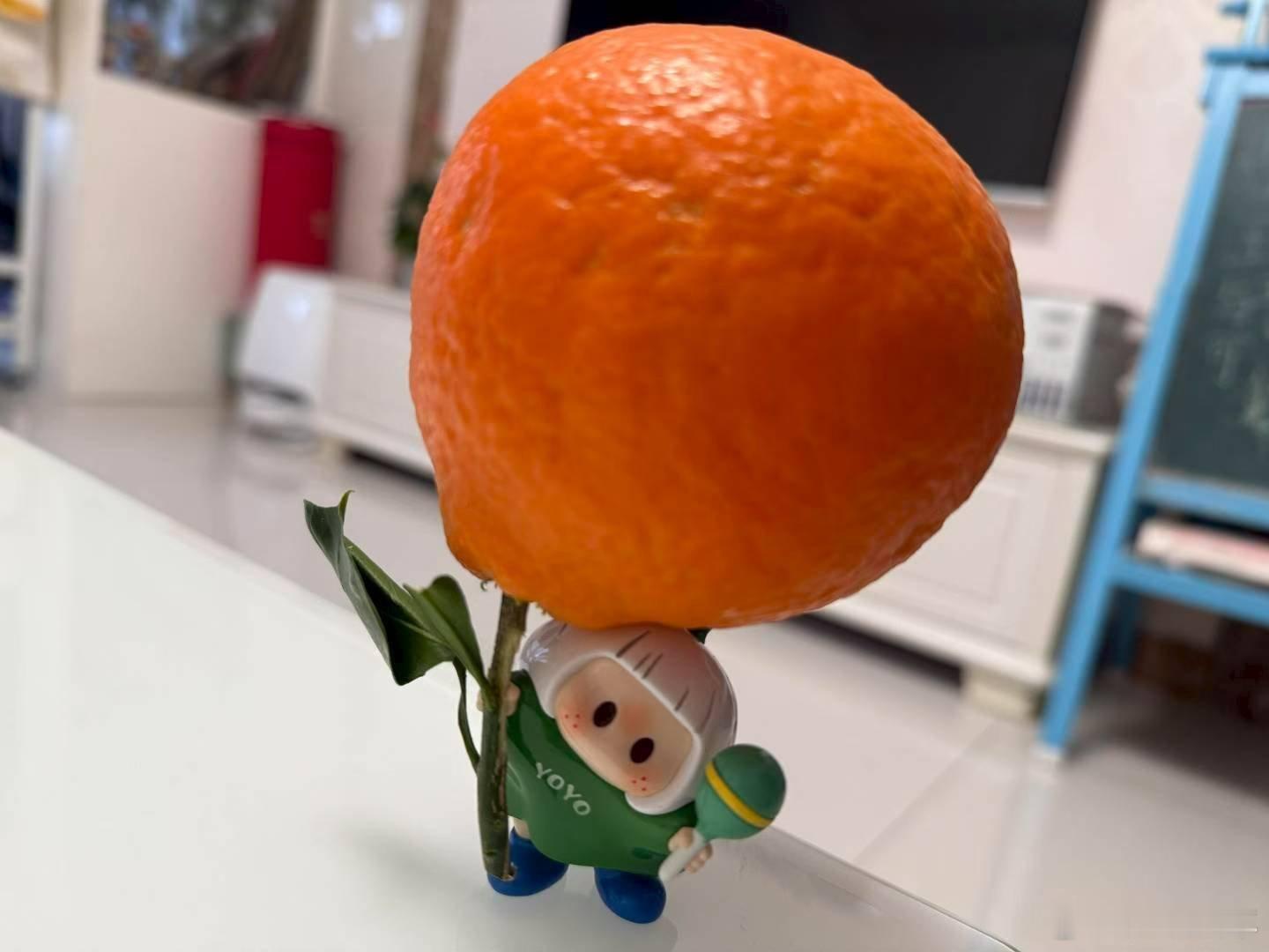 被拿捏了？！🤏我觉得我是僧人啊