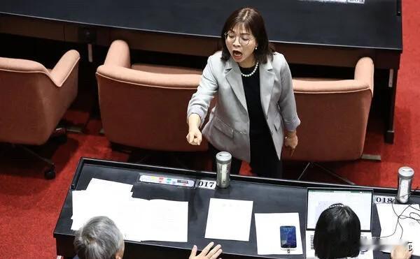 民众党闯关高虹安条款！绿委当面狂骂8白委低头玩手机新竹市长高虹安因诬告案