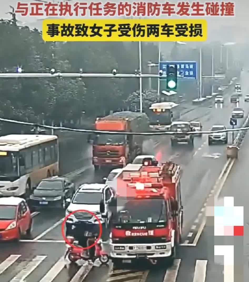 抢钱💰呢？抢红灯这么快干啥！耗子给猫当三陪，作死呢！大长指甲—不自觉，闯红灯，