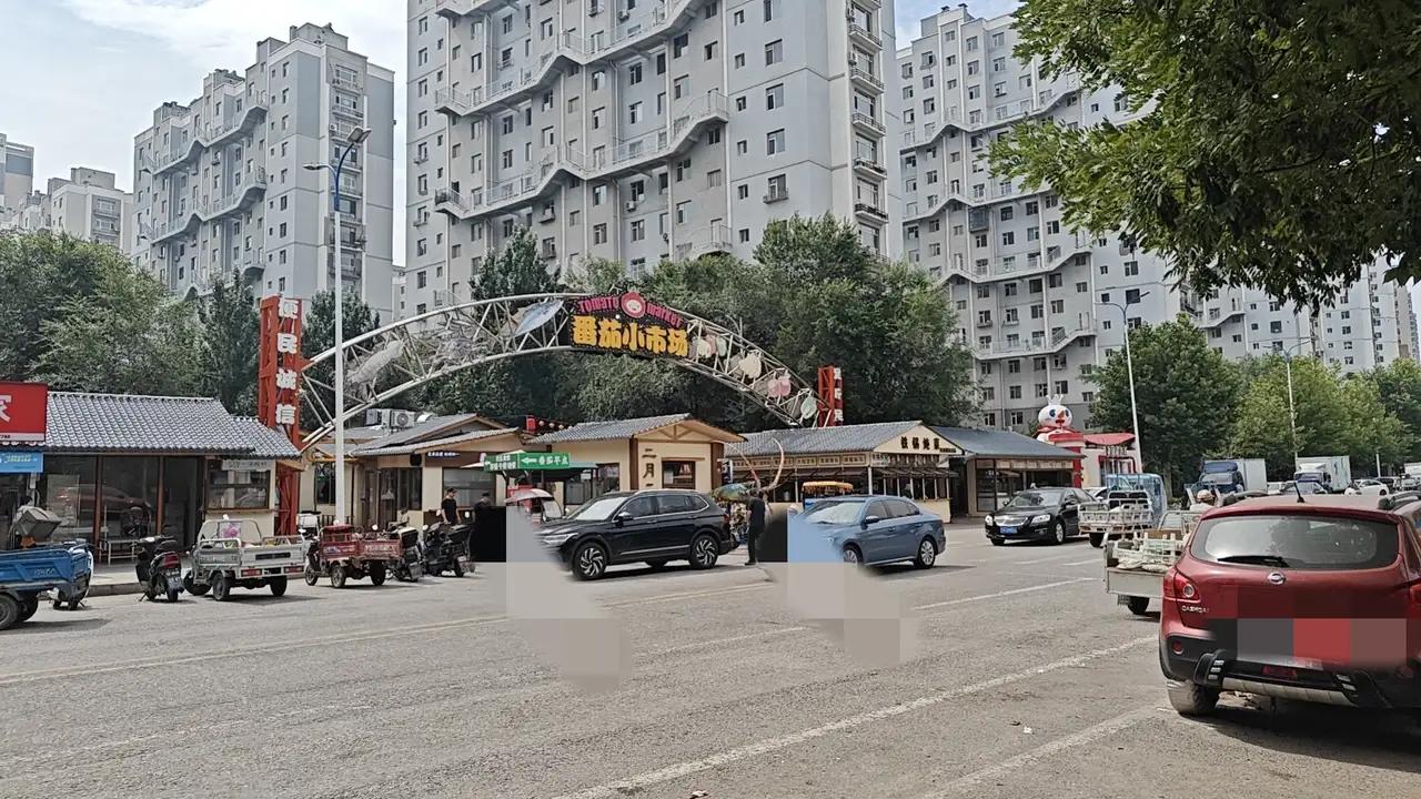 老大姐是去年搬到我们小区的，佳木斯人，今年72岁了。房子花26万买的，儿子出钱，