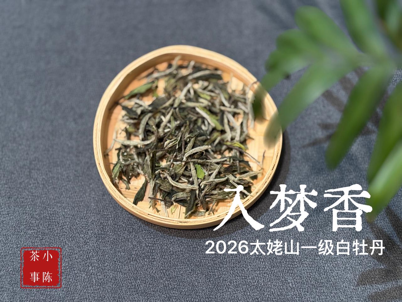 一天中什么时候不能喝茶？一天中不能喝茶的那些时间，老茶客总结，看看你踩坑了吗？