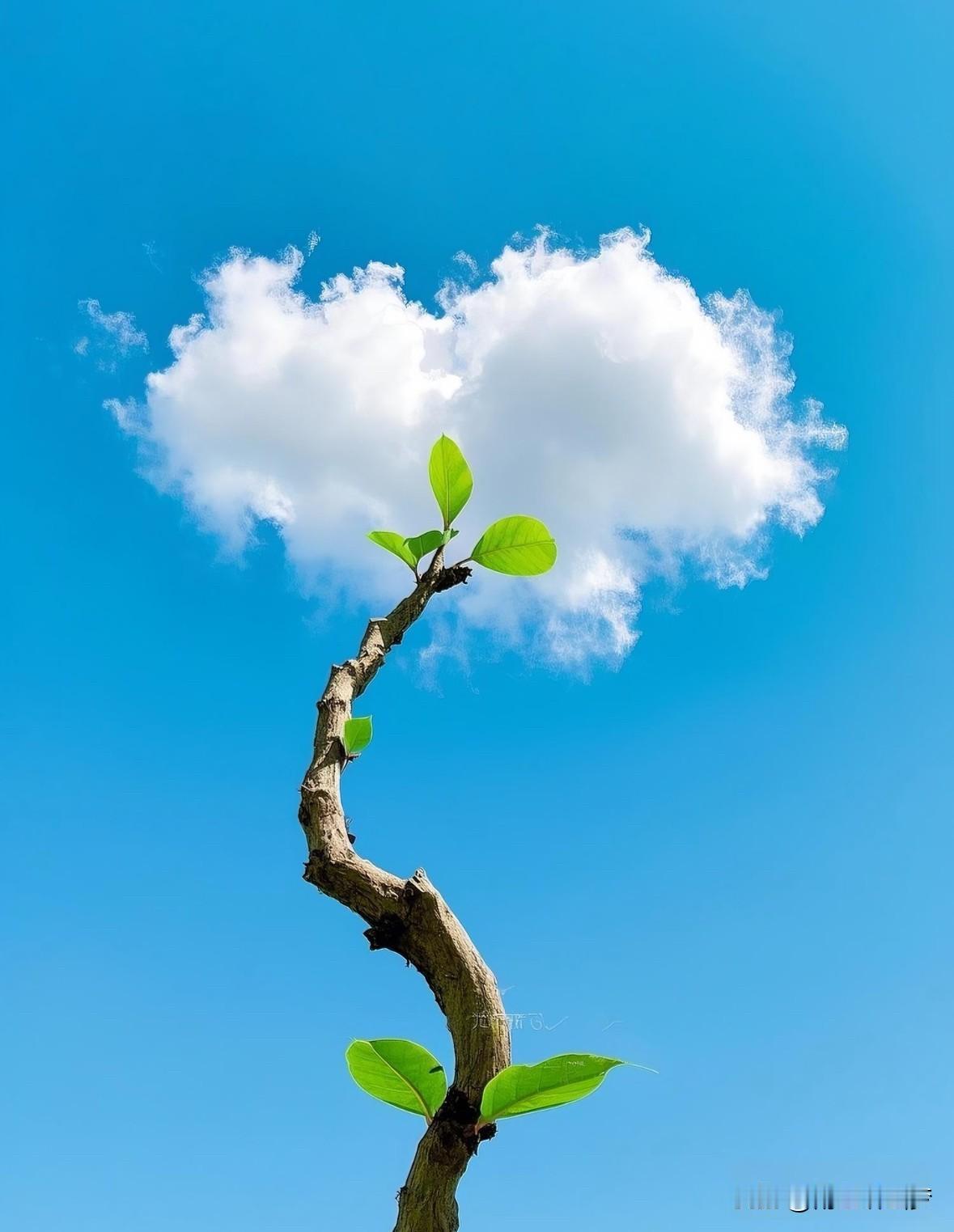 被人民日报这段话治愈了...人生啊，哪有什么两全之策，短短百年，只不过教