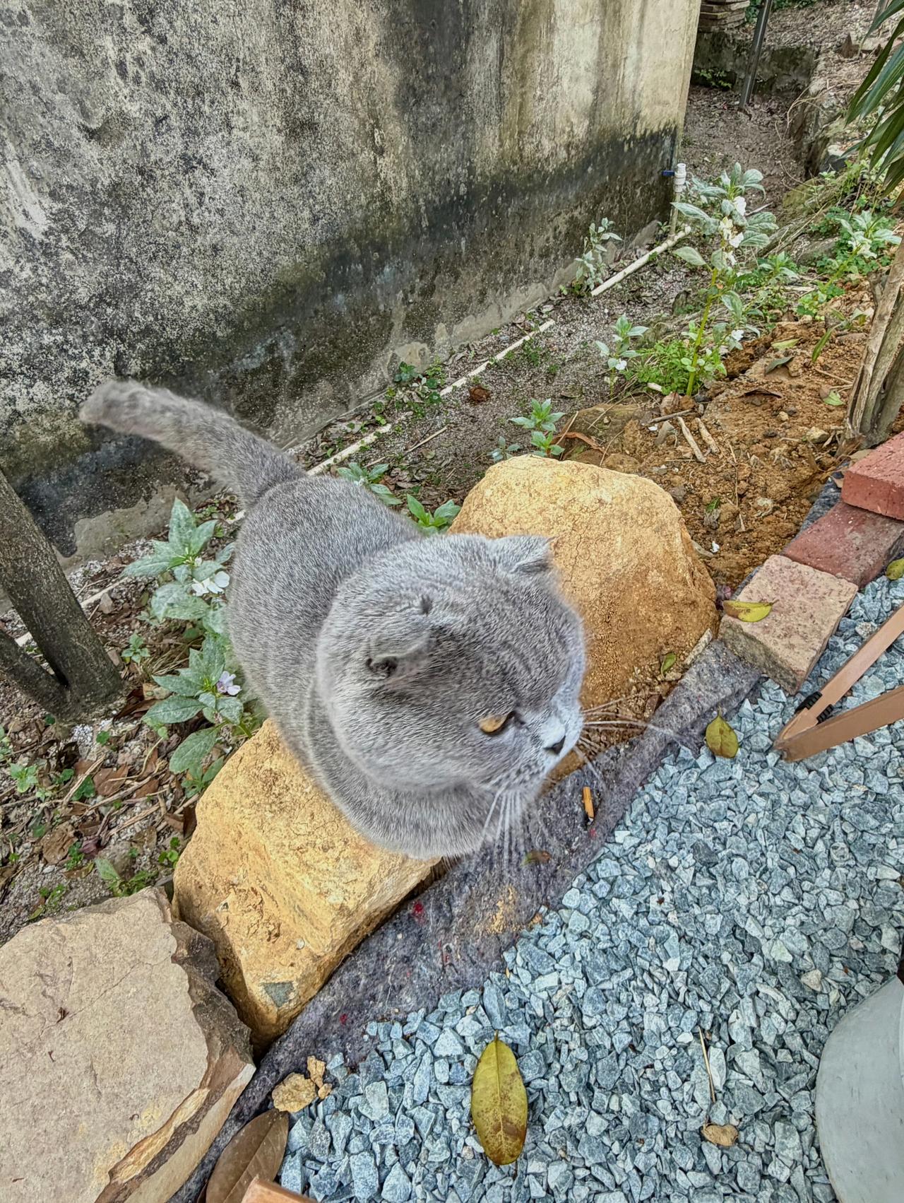 一壶茶，一片山，一份悠然。山内茶香，静听风吟享一份清欢