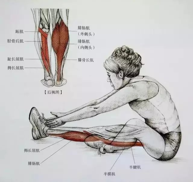 肌肉紧张显小腿粗, 小腿拉伸图解告别疙瘩腿