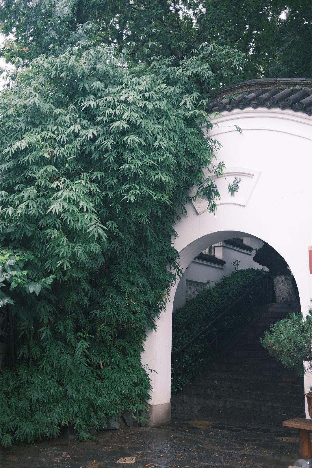 也是来过黄鹤楼的人了。[并不简单]天气不好，拍照别有风味。再见武汉，下次再来。乘