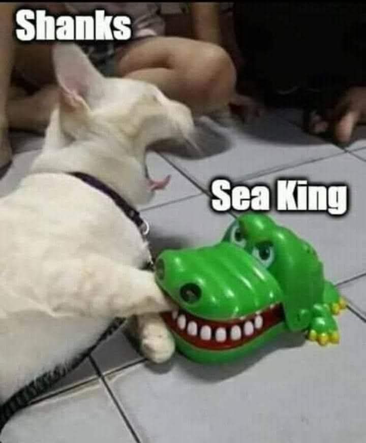 海贼王海贼王香克斯与近海之王