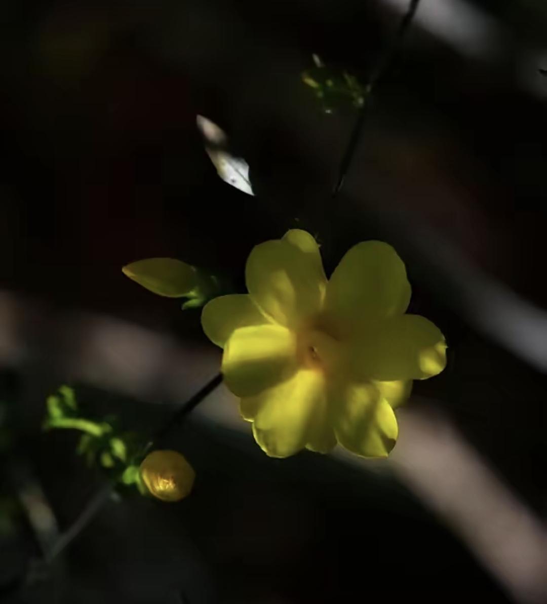 今天晚上跟弟弟打了电话，心里特别不是滋味。五十多了，家散了，儿子也不理他，就一个