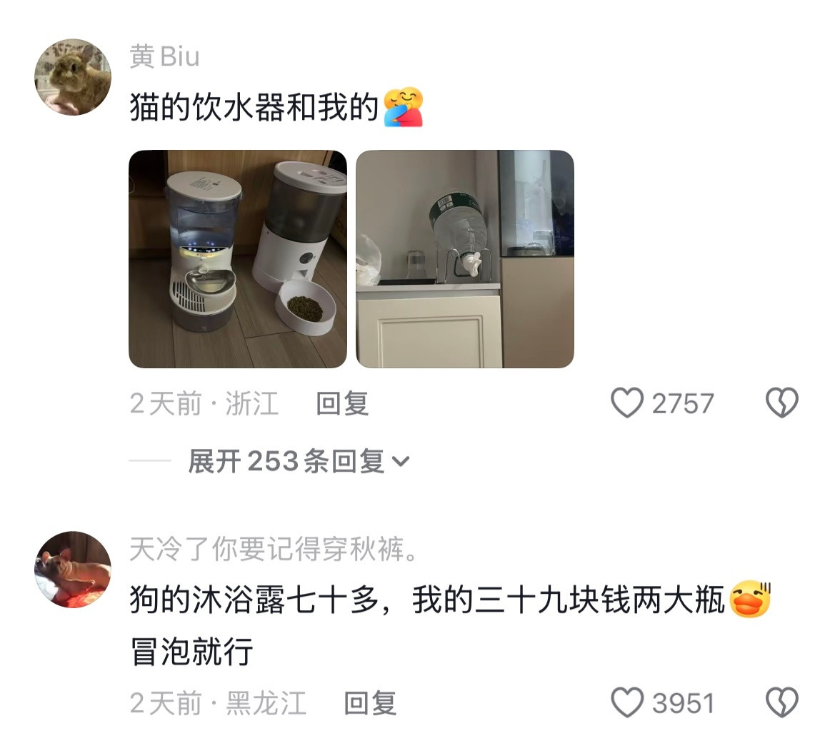 原来养狗真的能改变阶级哈哈哈哈哈哈哈哈哈