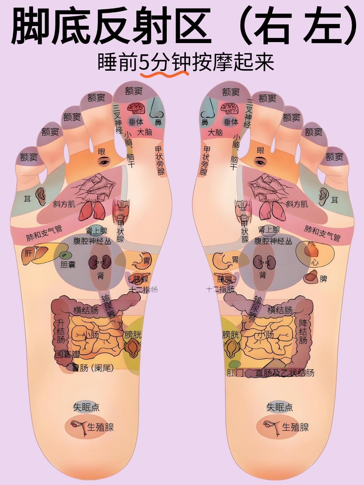 中医说：人老足先衰，按摩先按脚❗❗家人们谁懂啊！最近研究脚底穴位，发现简直是“