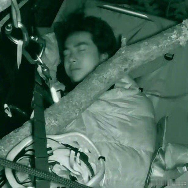 哈哈哈哈哈哈，王一博哥哥在树上也睡得很香，看来是困的不行了！｜王一博