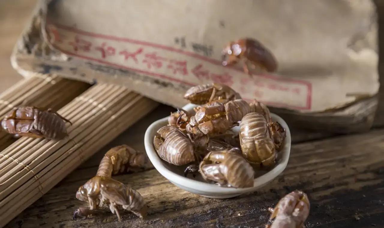 注意！感冒后高热不退，别急着乱吃退烧药。冬季感冒容易转为实热证，全身滚烫、烦