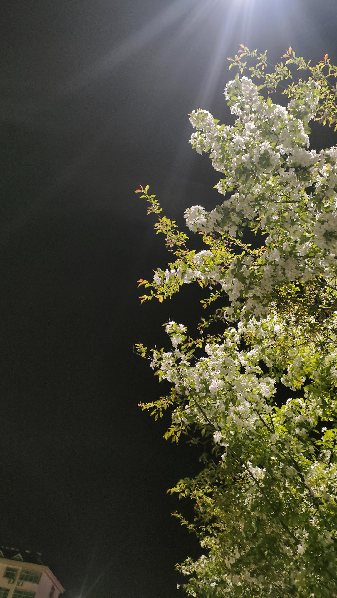 宋朝有位朝廷官员名叫王迥，按照宋人笔记里记载，此人的相貌非常的俊美，而且本人也是