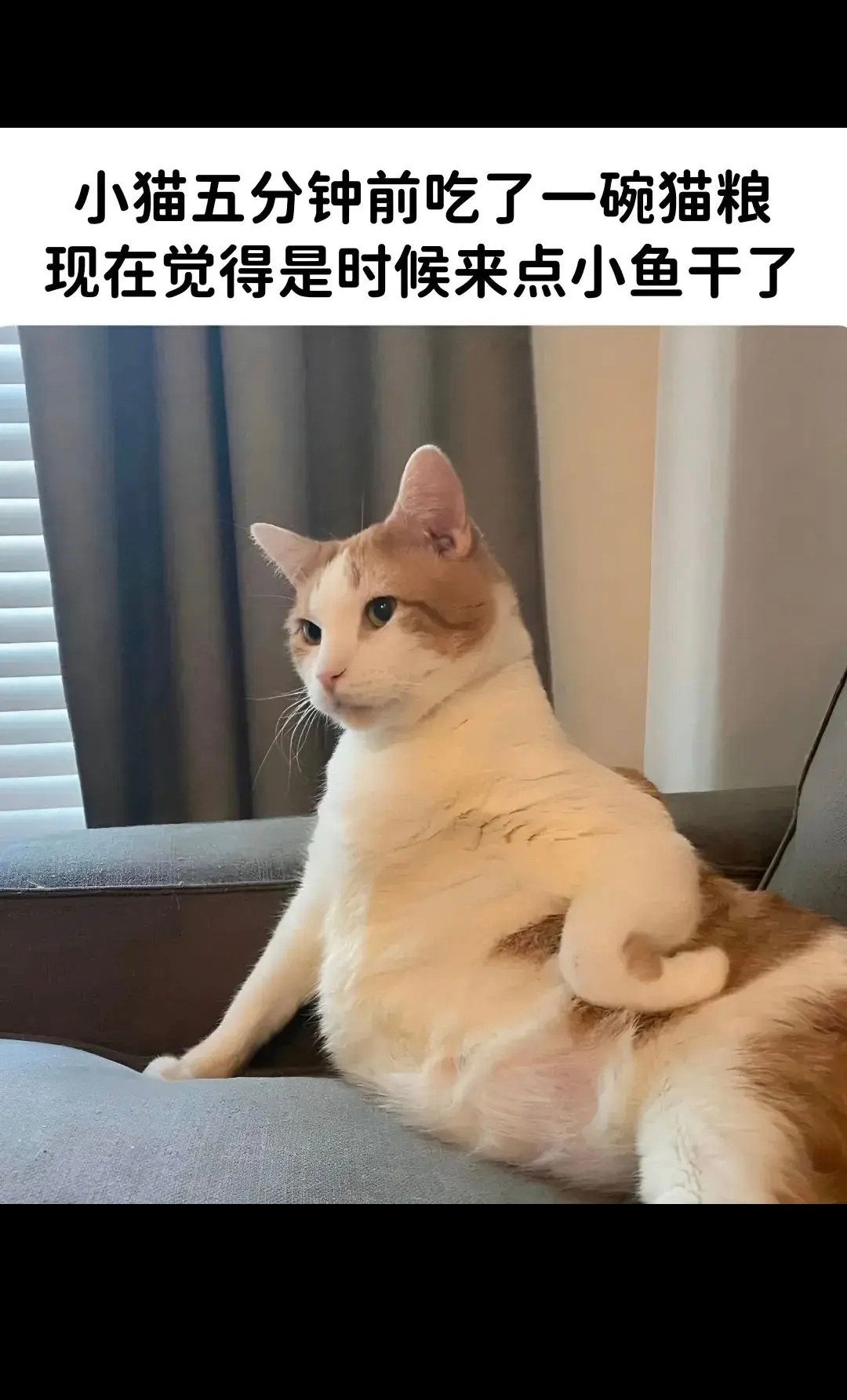 这姿势，莫名的戳中我的笑点